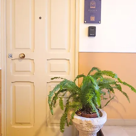 アパート 2 Bedrooms Penthouse In The Center *